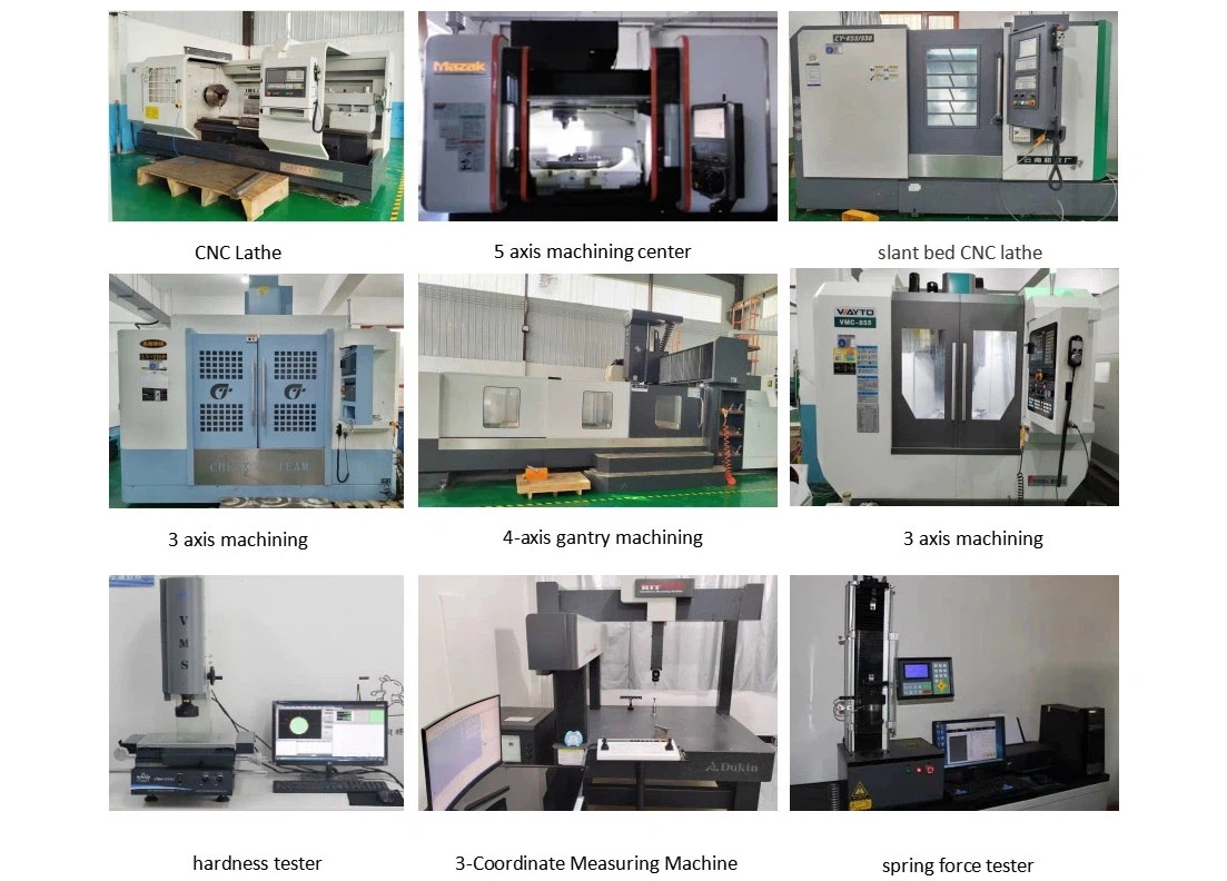 20 YEARS OF EXPERIENCE